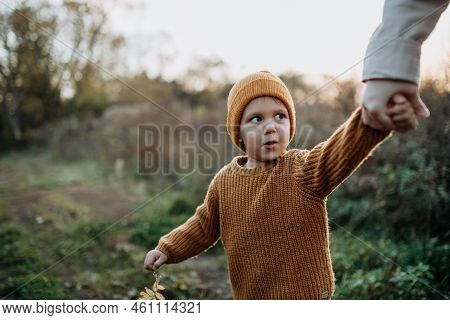 Portrait Of Cute Little Boy Wearing Knitted Sweater In Nautre, Autumn Concept.