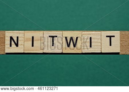 Word Nitwit Made Of Small Gray Wooden Letters On A Green Paper Background