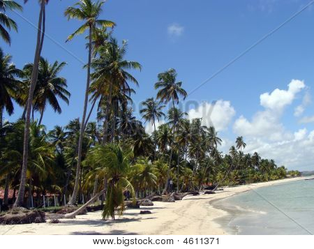 Praia Dos Carneiros