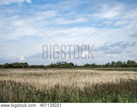 Summer Sky Over Reedbeds At Far Ings, Lincolnshire, England