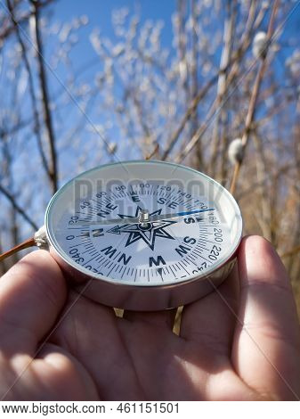 Winter-spring Hiking (spring Independent Travel In Forest And River, Willow Catkins), Camping Equipm