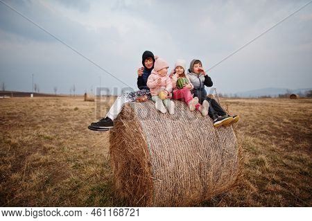 Four Kids With Fruits In Hands Sitting On Haycock At Field.