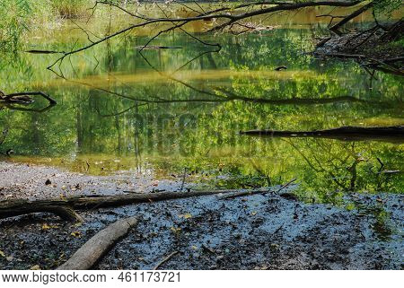 Marshes, Bogs, Swamps Or Marshland In The Forest By The Oder River In Poland. City Of Zielona Gora. 