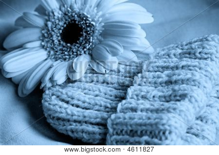 Blume auf Kleinkinder Hut