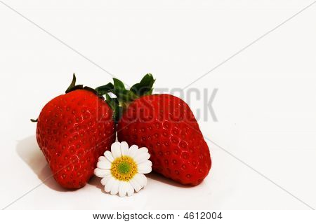 Strawbarry met een bloem
