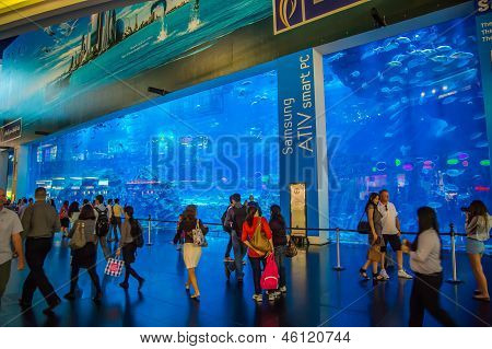 Acquario più grande del mondo a Dubai Mall