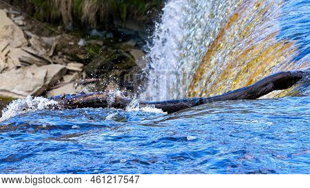 Waterfall In Estonia. Jagala The Highest Natural Cascade In Estonia. Close Up