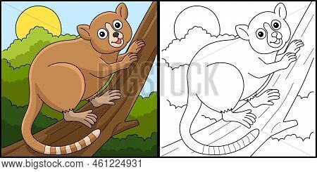 This Coloring Page Shows A Mouse Lemur Animal. One Side Of This Illustration Is Colored And Serves A
