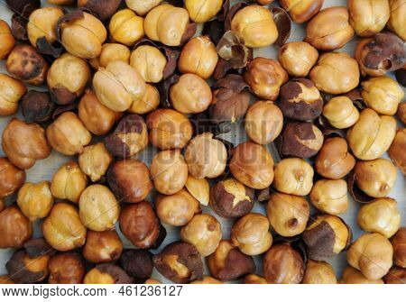 Roasted Chickpea Roasted Gram Roasted Chana Roasted Kabuli Chana Dried Seeds Heap Closeup Image Phot