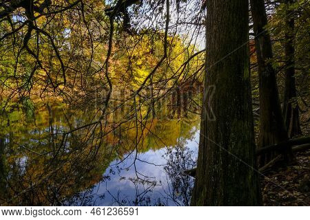 Autumn Trees Across The Surface Water Of The Lake In Boschi Di Carrega, Emilia-romagna, Italy. Autum