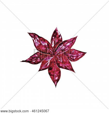 Hypoestes Is A Potted Indoor Plant With Bright Red And Green Petals With Streaks And A Pattern