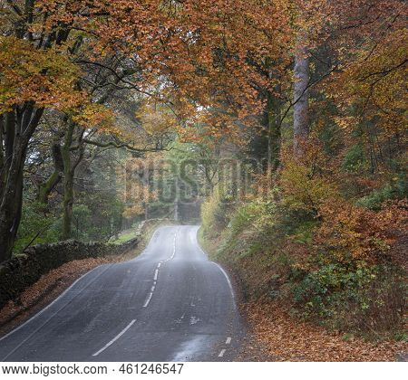 Beautiful Landscape Image Of Road Winding Through Vibrant Autumn Dodd Woods Forest In Lake District