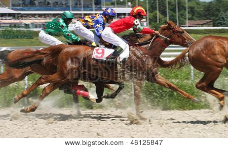 Horse Racing At The Hippodrome In Pyatigorsk.
