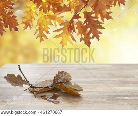 Wooden Table Display With Oak Fall Leavws And Tree Foliage In Background