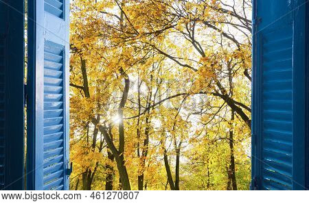 Room With Open Blue Window Shutters To - Fall Garden With Yellow Leaves And Green Grass