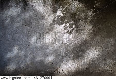 Abstract Leaves Gray Shadow Background With Dark Bokeh, Natural Leaves Of Tree Branch Falling On Gra