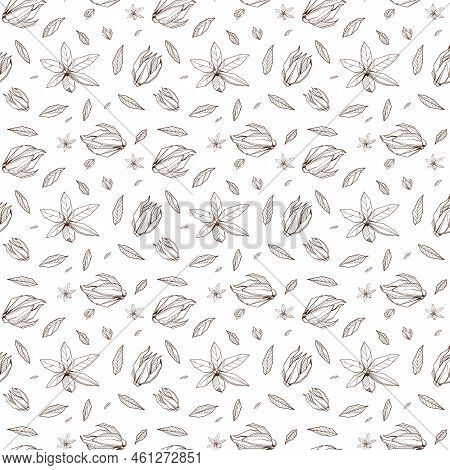 Seamless Pattern With Outlined Hand Drawind Geometrical Blossoming Flower. Ylang-ylang Textile Vecto