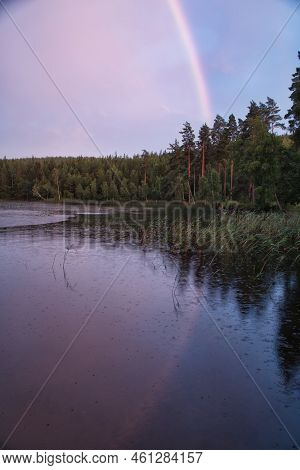 Rainbow Reflected In The Lake When It Rains. In The Background Forest, On The Lake Reeds And Water L