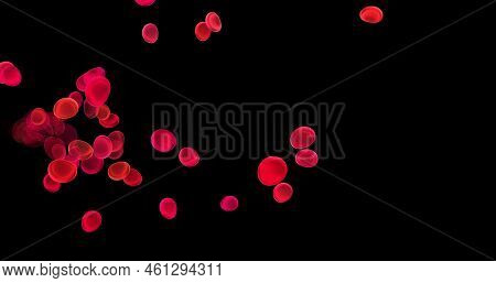 Blood Cells, Erythrocytes, Red Blood Cells, Microbes And Microorganisms, Medicine And Biology, Blood