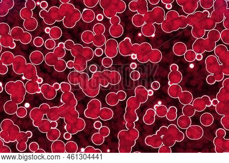 Design Beautiful Big Amount Of Bio Monadiforms Cg Background Illustration - Creative Still Image