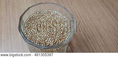 Coriander Seeds Water In Glass For Health, Coriander Seeds Called Dhaniya