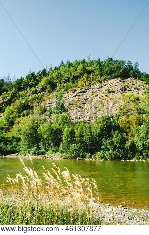 Beautiful Mountain River On A Clear Summer Day. River In Sunny Day. River In Mountain Forest.