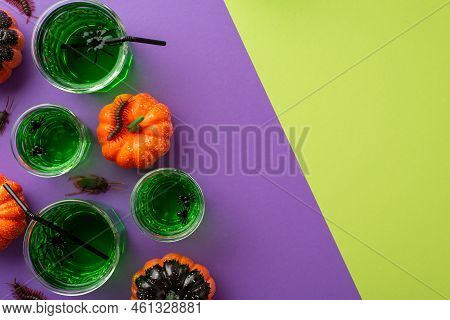 Halloween Night Concept. Top View Photo Of Green Drink With Floating Spiders And Straws In Glasses S