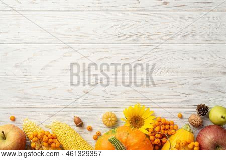 Thanksgiving Day Concept. Top View Photo Of Raw Vegetables Pumpkin Zucchini Apples Pear Maize Sunflo