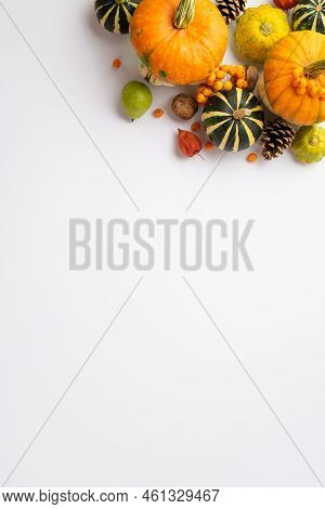Autumn Harvest Concept. Top View Vertical Photo Of Raw Vegetables Pumpkins Pattypans Pear Walnuts Pi