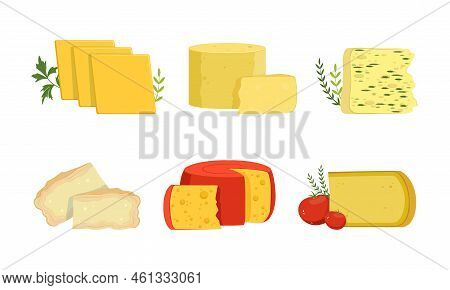 Different Cheese Chunk As Dairy Product With Various Flavor And Texture Vector Set
