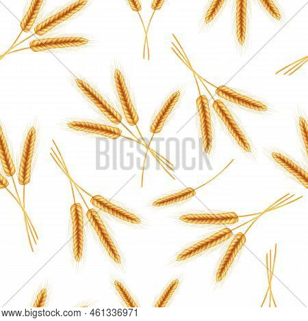 Realistic Illustration Of Seed Plants,organic Farming Farming.seamless Pattern Of Ripe Spikelets Of 