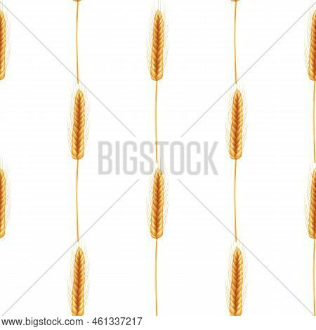 Realistic Illustration Of Seed Plants,organic Farming Farming.seamless Pattern Of Ripe Spikelets Of 