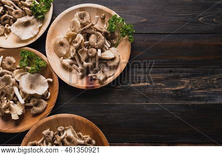 Fresh Edible Mushroom (lentinus Squarrosulus) In Natural Plate On Wooden Background, Organic Food In