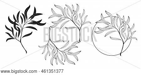 Set Of Contour, Black, Silhouette, Artistically Drawn Willow Branches And Round Monogram With Willow