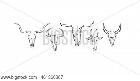 Hand Drawn Abstract Vector Graphic Clipart Illustration Boho Country Bull Skull Collection Set.wild 