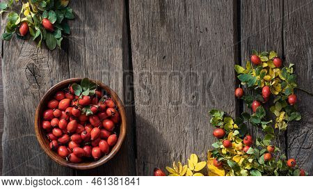 Rosehip Berries On Wooden Rustic Background. Rosehip Branches. Banner
