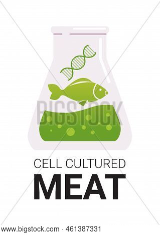 Cultured Meat In Test Tube Made From Fish Cells Artificial Lab Grown Meat Production Concept