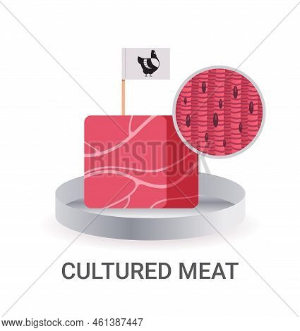 Cultured Raw Red Meat With Label Made From Chicken Animal Cells Artificial Lab Grown Meat Production