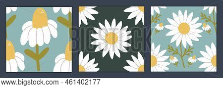 The Set Of Seamless Patterns Chamomile And Matricaria. For Textile, Wrapping, Fashion