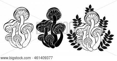 Artistically Drawn, Contour And Silhouette Wild Mushrooms On White Background. Goblincore. Cottageco