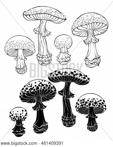 Set Of Silhouette And Contour, Isolated, Artistically Drawn Fly Agarics On White Background. Cottage