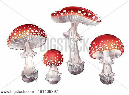 Set Of Artistically Drawn, Poisonous Mushrooms With White Speckled Red Hat On White Background. Red 