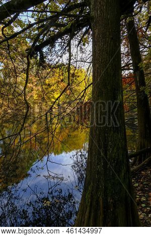 Colorful Red, Yellow, And Orange Autumn Trees Reflected In The Surface Water Of The Lake In Boschi D