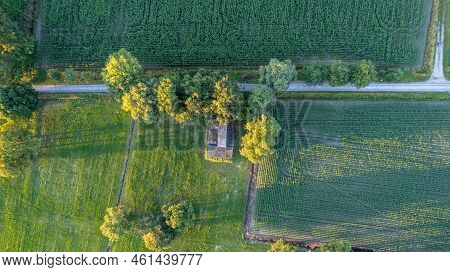 Aerial View Drone Shot Of Fresh Green Field In Spring Near Turnhout By Antwerp, Belgium With Road Be