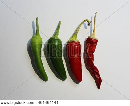 Different Stages Of Pepper Ripening. Top View Photo Of Chili Peppers On White Background