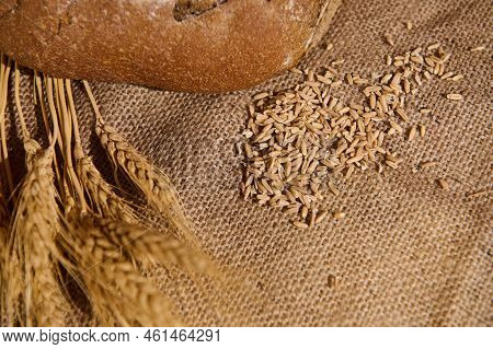 Selective Focus. Still Life. View From Abobe Of Oat Grains Scattered On The Burlap Tablecloth, Next 