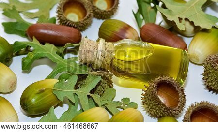 Photos Of Acorns And Acorn Oil On A White Background.