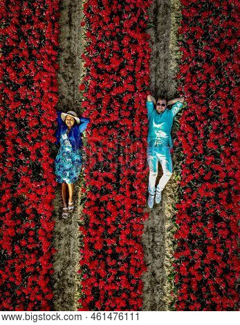Men And Women In Flower Field Seen From Above With Drone In The Netherlands, Tulip Fields