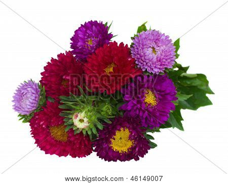 buket rød og violet aster blomster