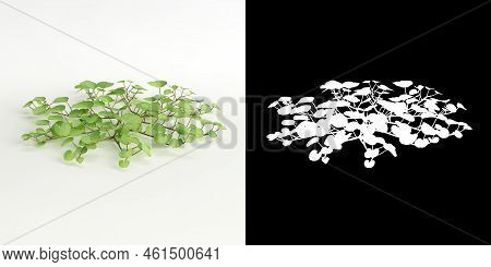3d Illustration Of Dichondra Repens Tree Isolated On White And Its Mask
